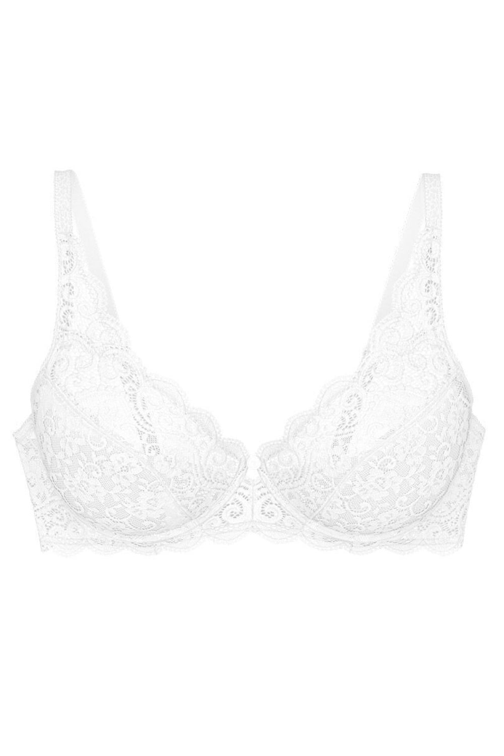 Soft model 229109 Triumph