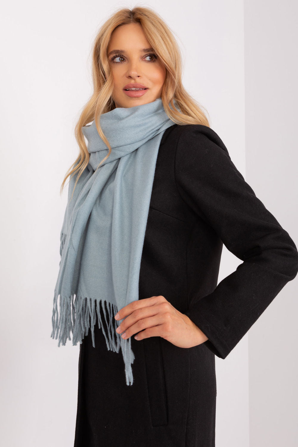 Scarf model 187609 AT