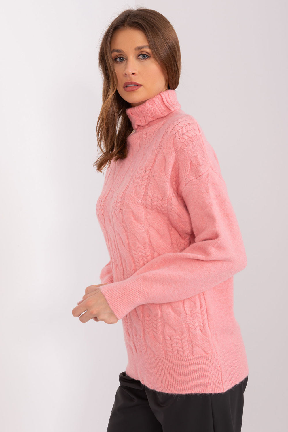 Turtle neck sweater model 189886 AT