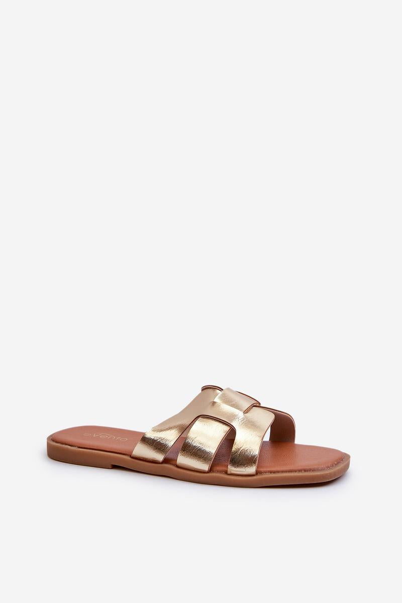 Slippers model 198181 Step in style