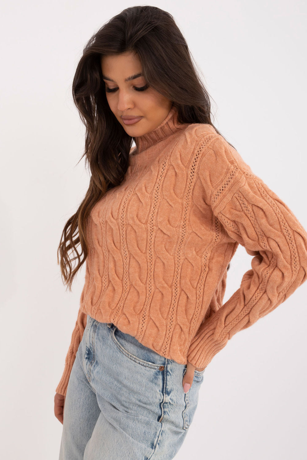 Rollkragenpullover model 199442 AT