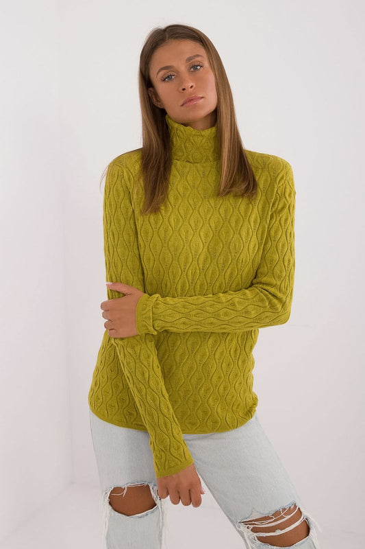 Turtleneck sweater model 208279 AT