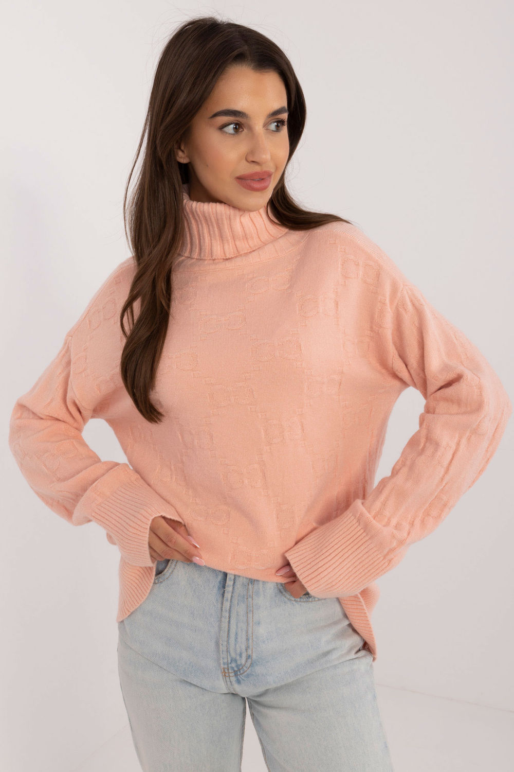 Rollkragenpullover model 208280 AT