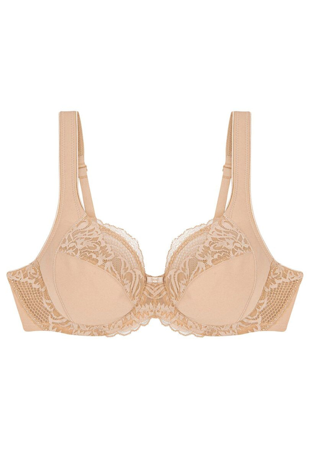Soft model 229106 Triumph