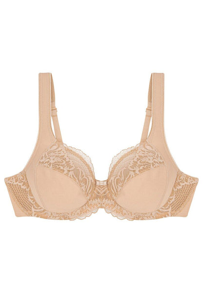Soft model 229106 Triumph