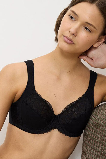 Soft model 229107 Triumph