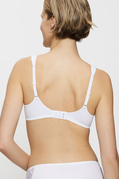 Soft model 229108 Triumph