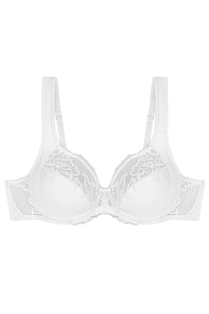 Soft model 229108 Triumph
