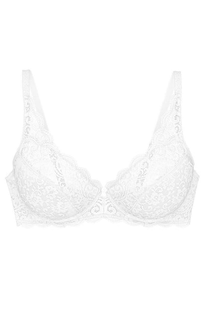 Soft model 229122 Triumph