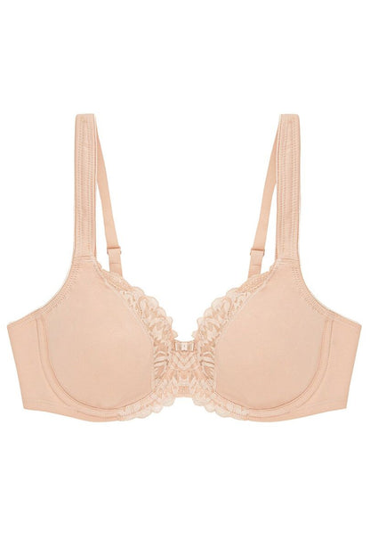 Soft model 229133 Triumph