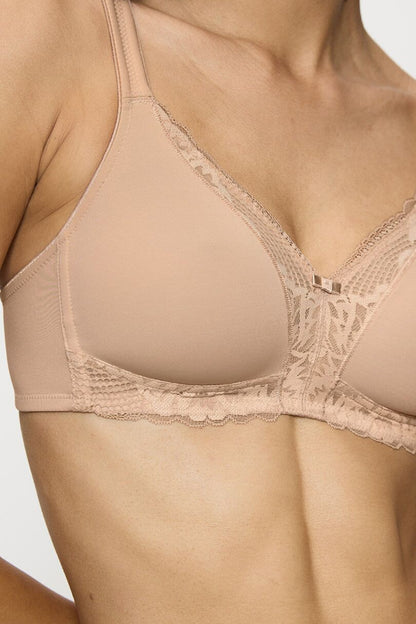 Soft model 229508 Triumph