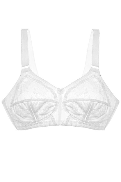 Soft model 229860 Triumph