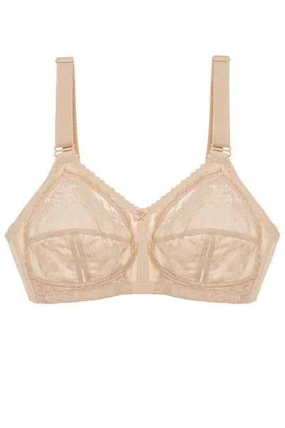 Soft model 229866 Triumph