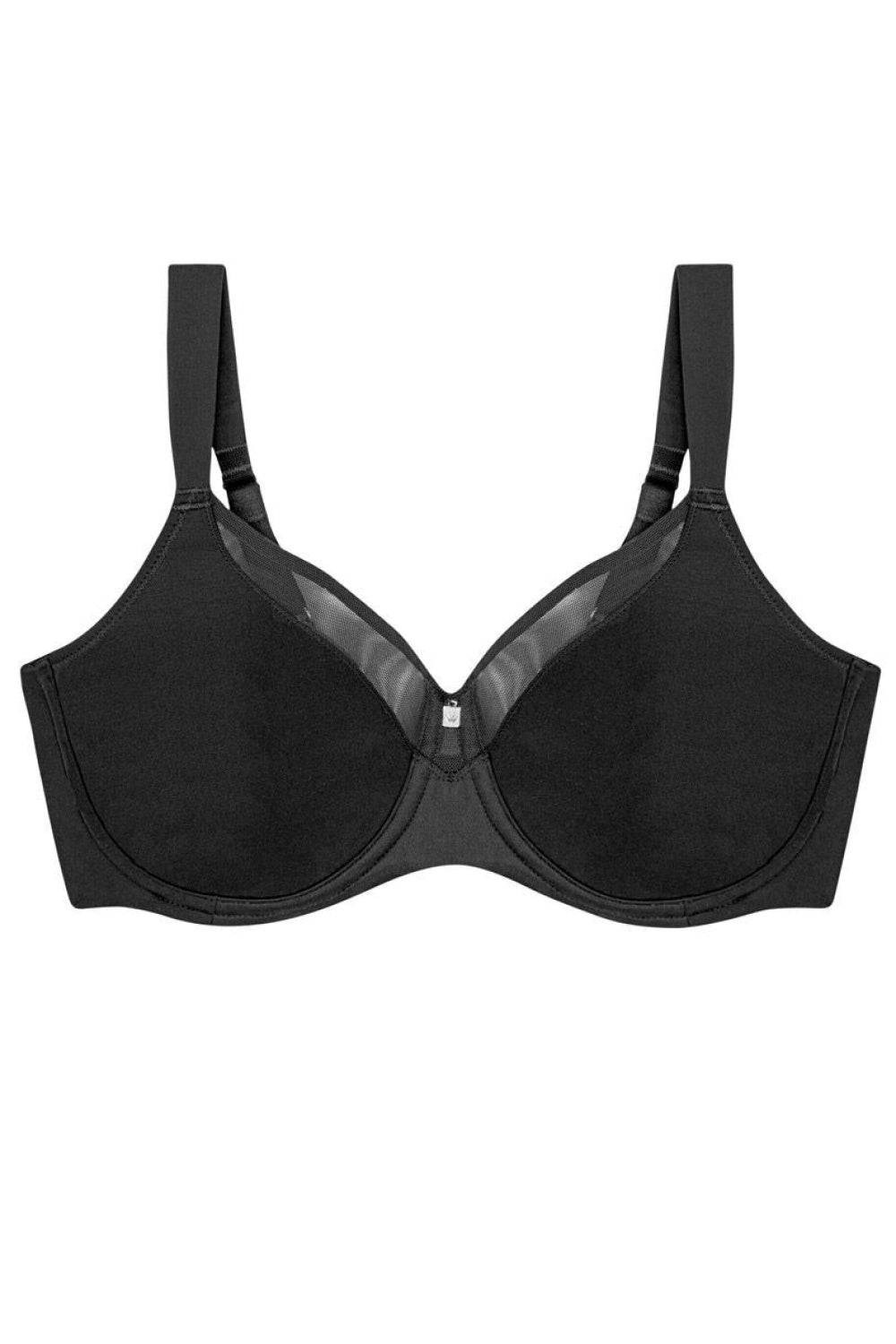 Soft model 229873 Triumph