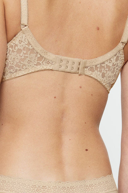 Soft model 229878 Triumph