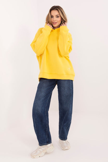Sweater model 231866 Rue Paris