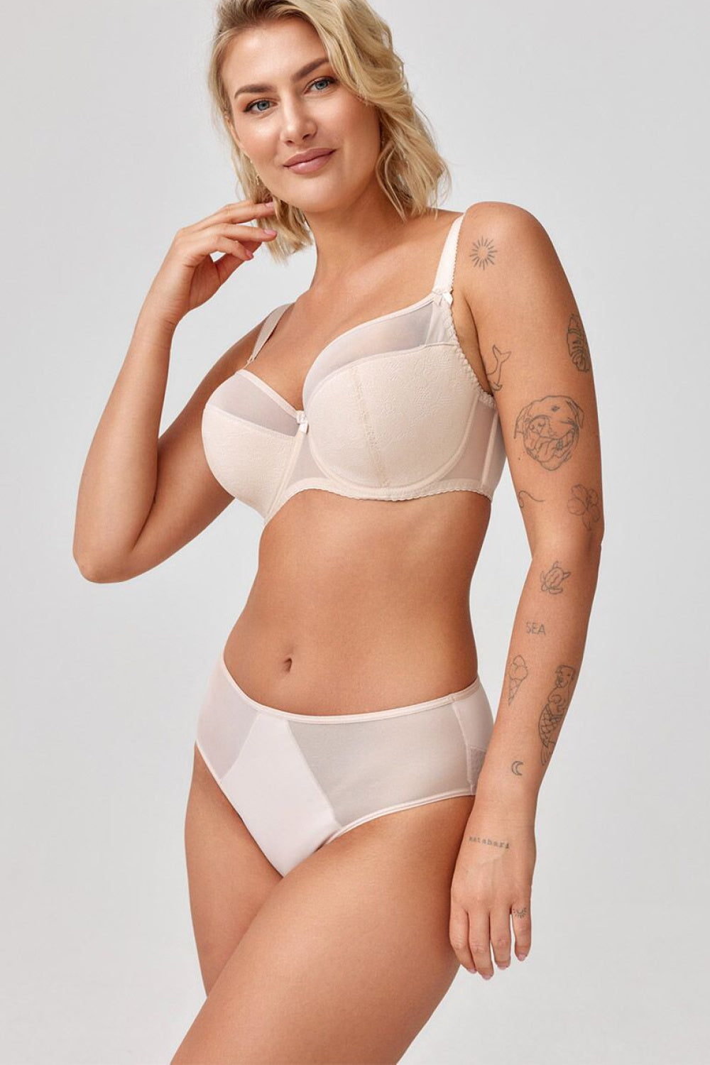 Semi- Soft model 232241 Azal
