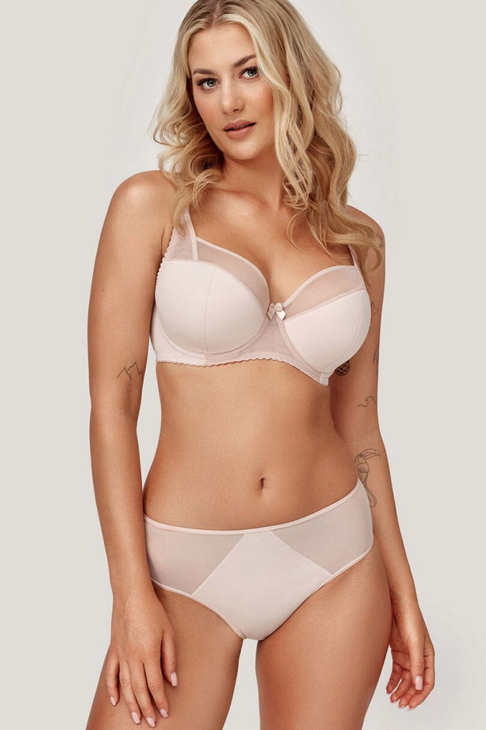 Semi- Soft model 232251 Azal