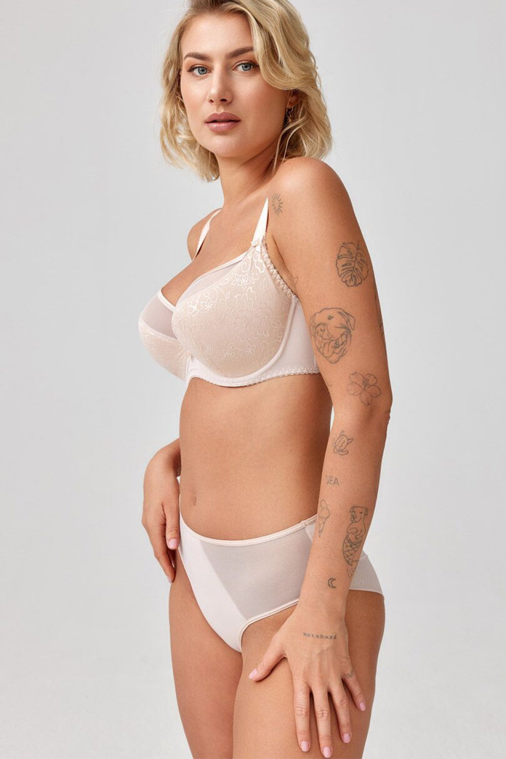 Semi- Soft model 232614 Azal