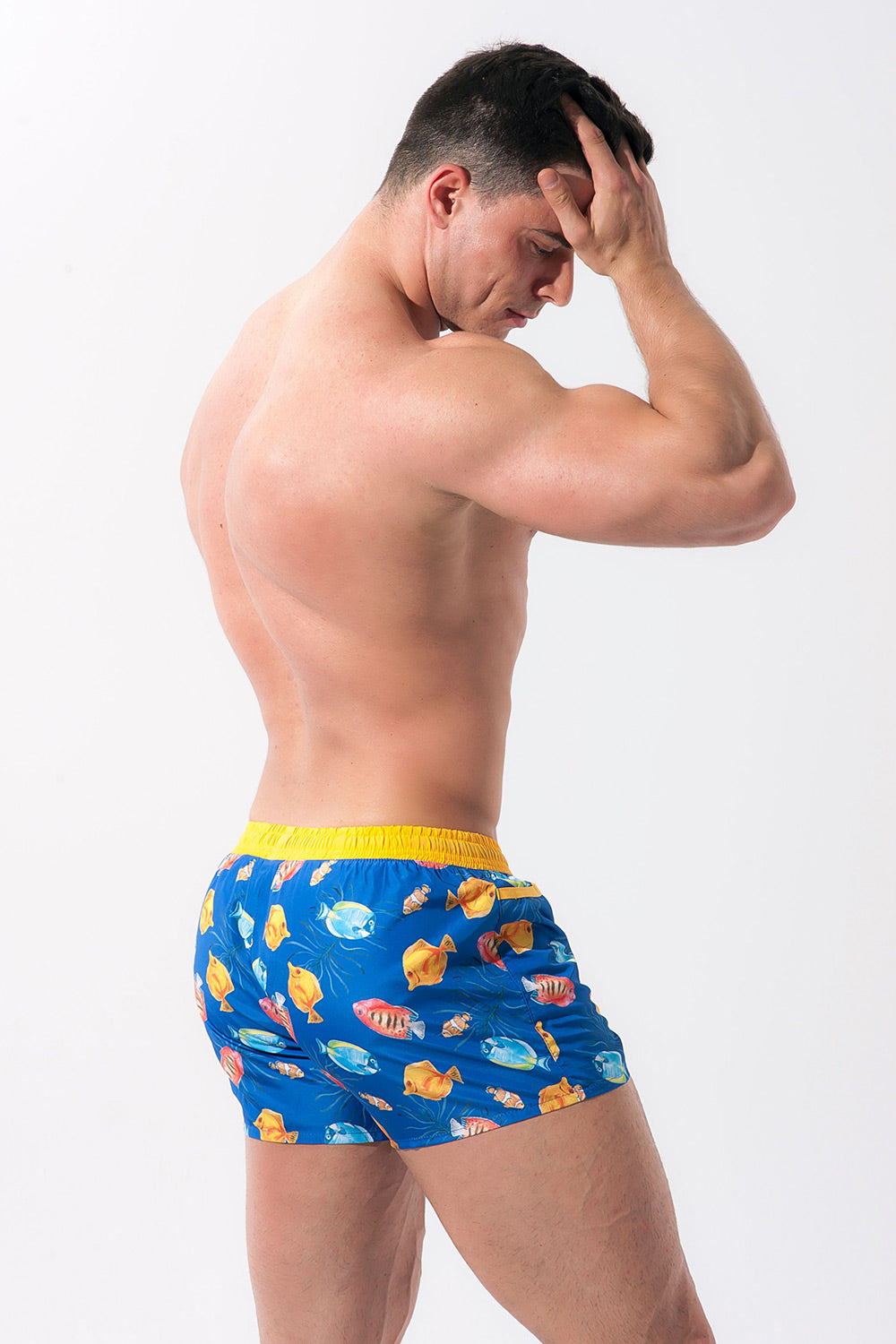 Swim Trunks model 146247 Alpha Male