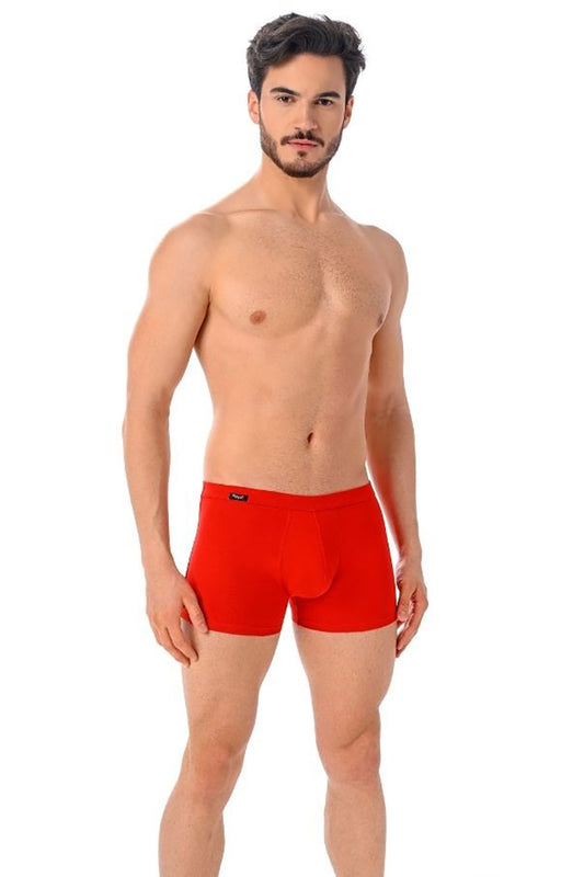 Boxer shorts model 182976 Teyli