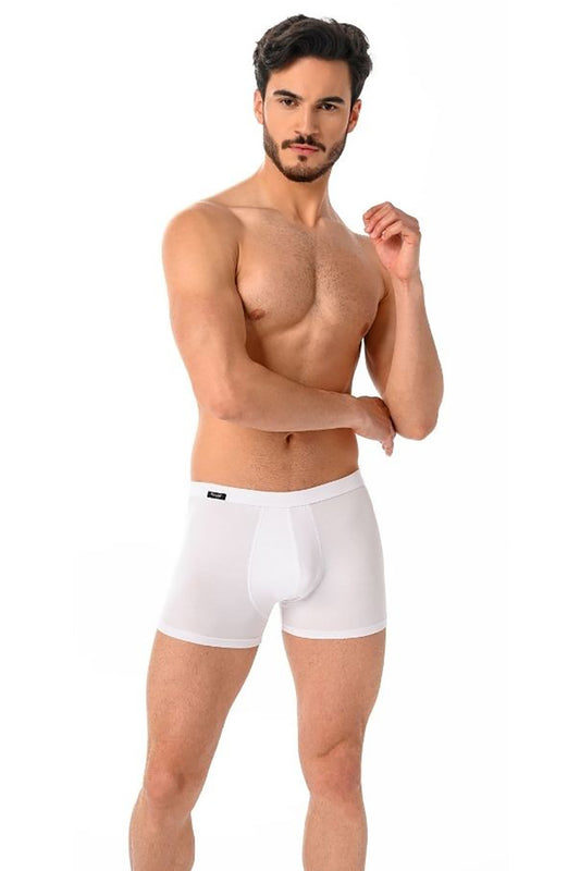 Boxer shorts model 182978 Teyli