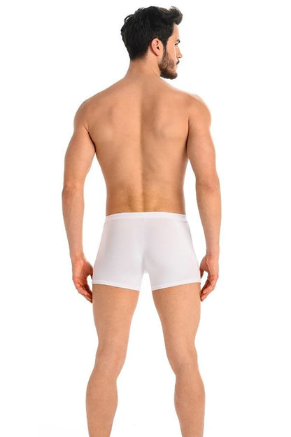 Boxer shorts model 182978 Teyli