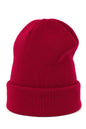 Beanie model 185704 Art of polo