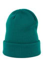 Beanie model 185706 Art of polo