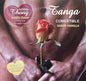 HOTFLOWERS - HERREN-TANGA + 2 VANILLE-WAFER-NIPPEL /es/pt/en/fr/it