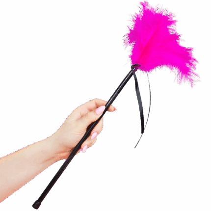 SECRETPLAY - ROSA FEDERN 40 CM