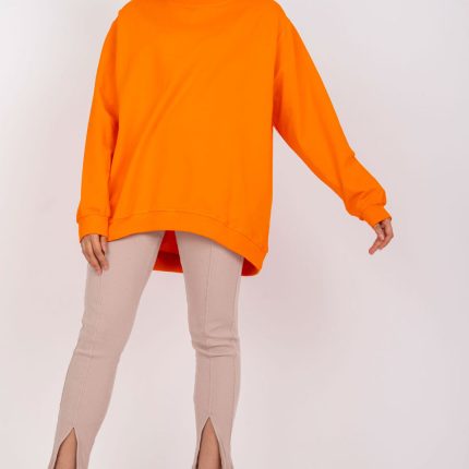 Sweater model 169764 BFG  (S/M)