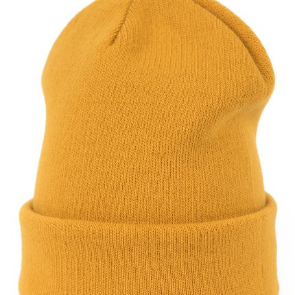 Mütze model 185709 Art of polo  (Universal)